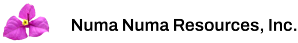 Numa Numa Resources Inc.